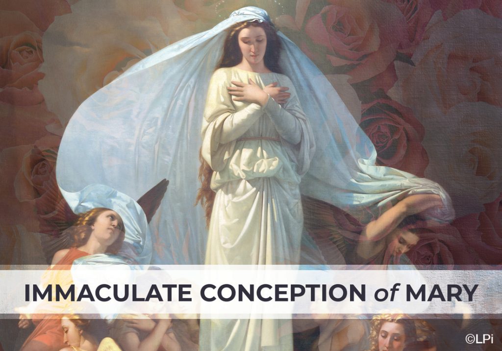 Feast of the Immaculate ConceptionHoly Day of Obligation Saint Peter