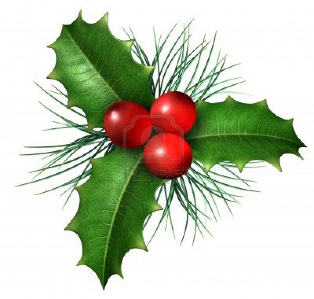 christmas-holly-images-i9m9nujm